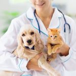 Ветеринарные Клиники: Здоровье и Благополучие Ваших Питомцев