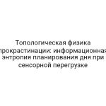 Топологическая физика прокрастинации: информационная энтропия планирования дня при сенсорной перегрузке